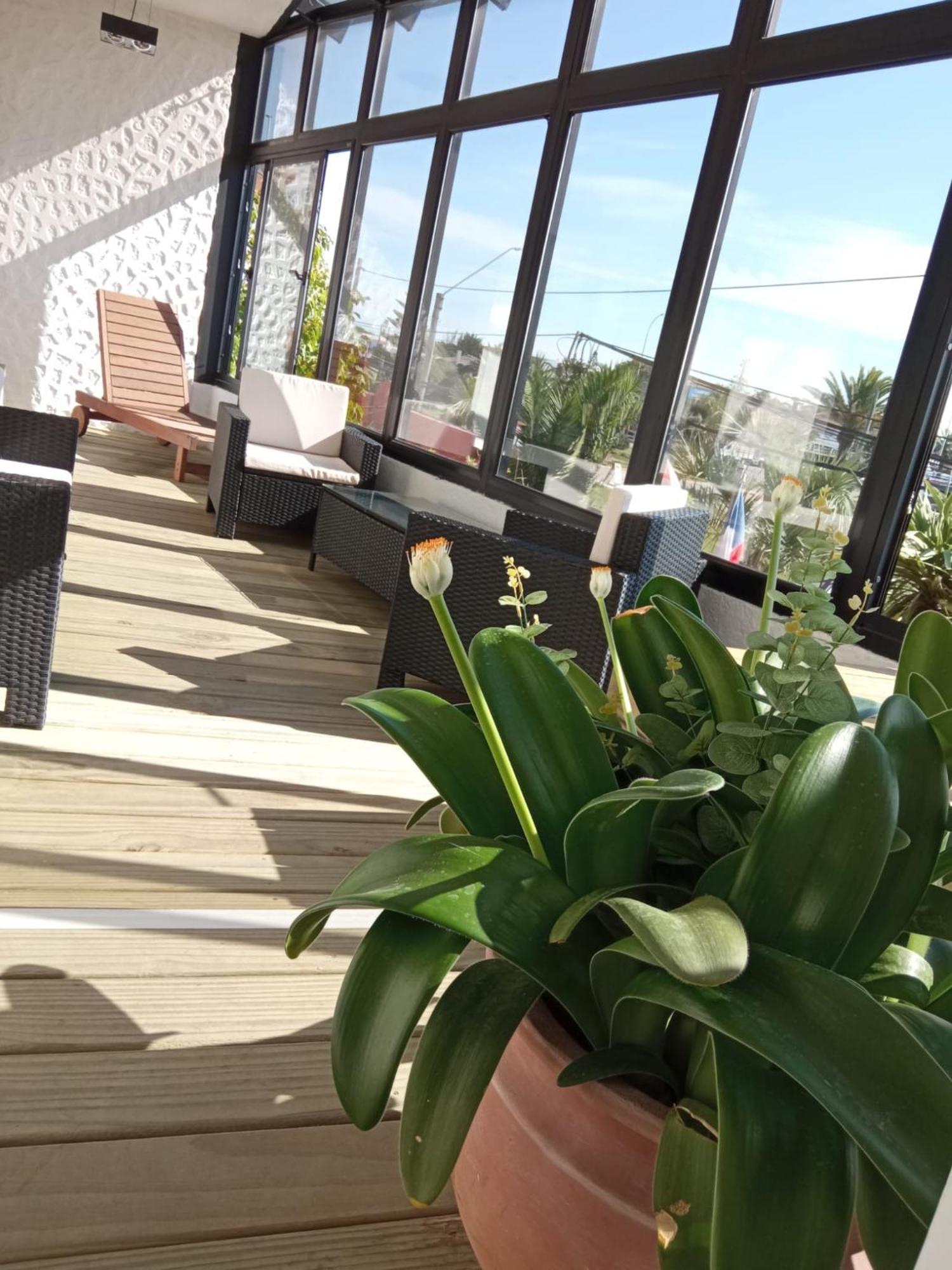 Hotel Bahia Ла Палома Екстериор снимка